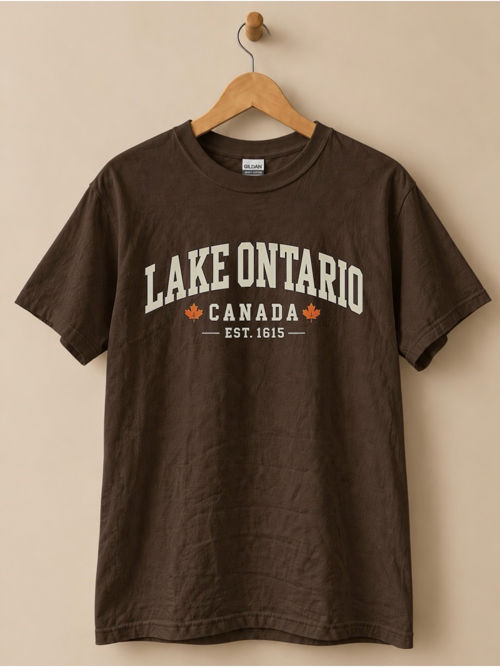 Lake Ontario Canada Unisex T-shirt Vintage Great Lakes Tee